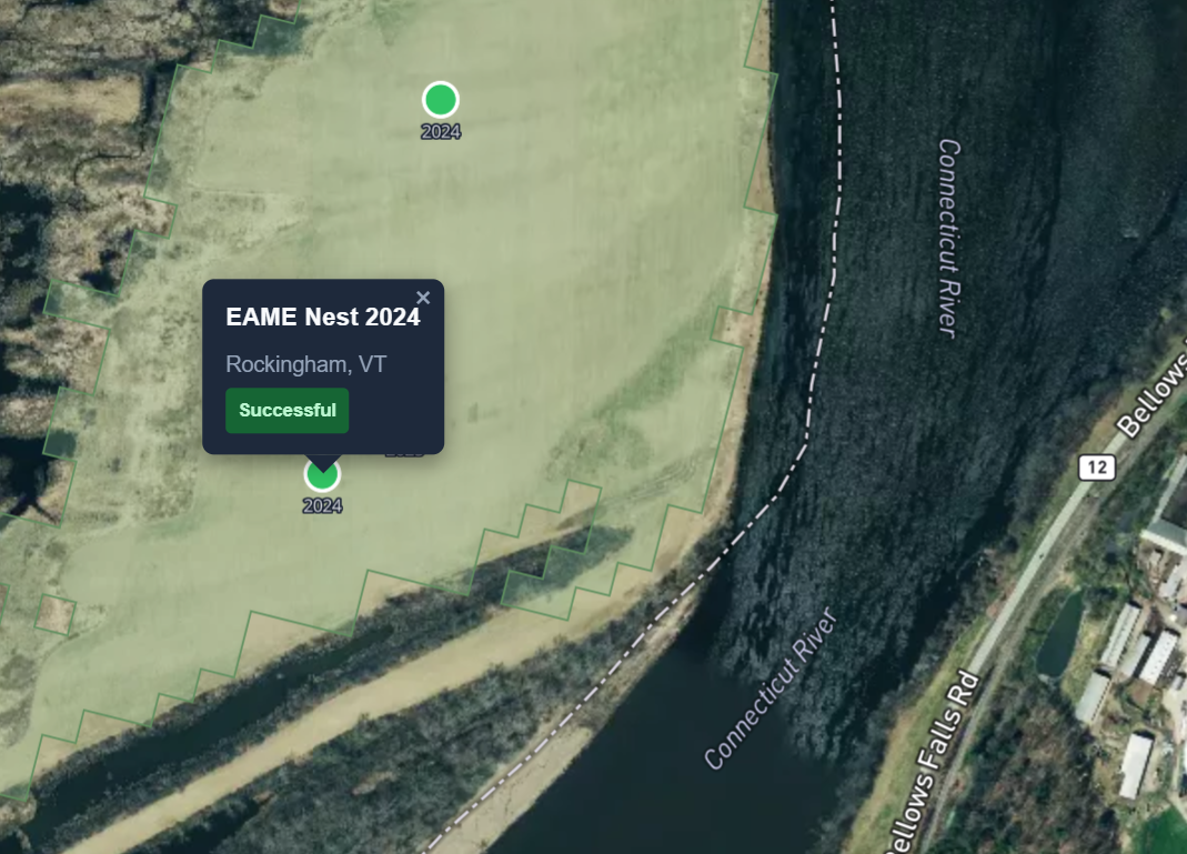 Eastern Meadowlark Nesting Sites